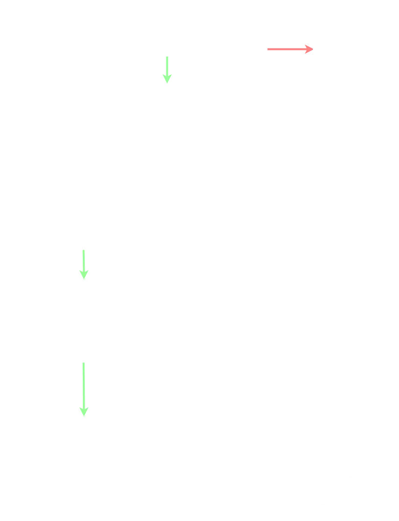 Pilot Training Pathway Flowchart